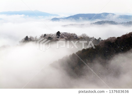 Winter sea of clouds and Bitchu Matsuyama Castle (castle in the sky) 25556 Winter sea of clouds and Bitchu Matsuyama Castle (castle in the sky) 25556 137683636