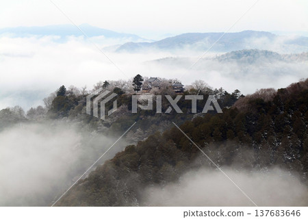 冬季雲海與備中松山城（天空之城）25612 137683646