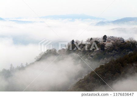 冬季雲海與備中松山城（天空之城）25615 137683647