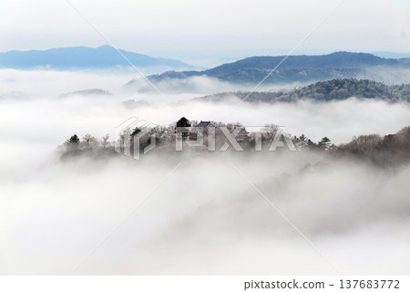 Winter sea of clouds and Bitchu Matsuyama Castle (castle in the sky) 25315 137683772