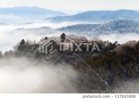 冬季雲海與備中松山城（天空之城）25416 137683806