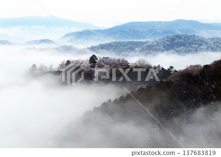 冬季雲海與備中松山城(天空之城)25480 冬季雲海與備中松山城(天空之城)25480 137683819