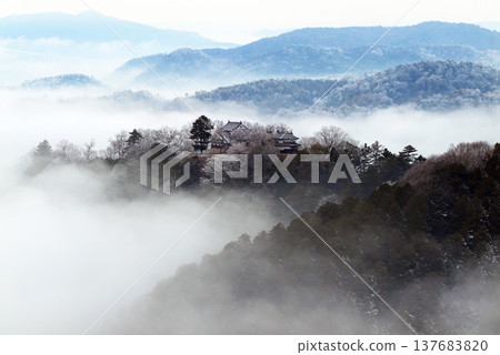 Winter sea of clouds and Bitchu Matsuyama Castle (castle in the sky) 25488 137683820