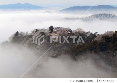 Winter sea of clouds and Bitchu Matsuyama Castle (castle in the sky) 25087 Winter sea of clouds and Bitchu Matsuyama Castle (castle in the sky) 25087 137683888