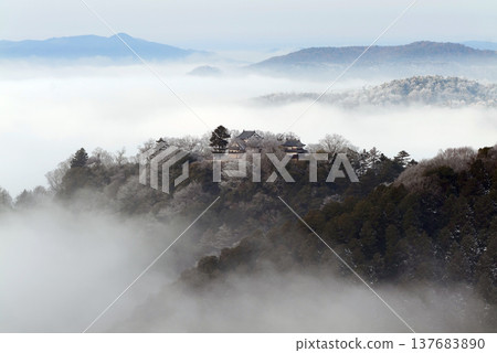 冬日雲海與備中松山城(天空之城)25099 冬日雲海與備中松山城(天空之城)25099 137683890