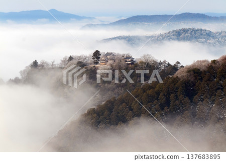 冬季雲海與備中松山城(天空之城)25123 冬季雲海與備中松山城(天空之城)25123 137683895