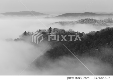 Winter sea of clouds and Bitchu Matsuyama Castle (castle in the sky) 25126 137683896