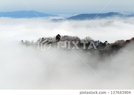 冬日雲海與備中松山城（天空之城）25166 137683904