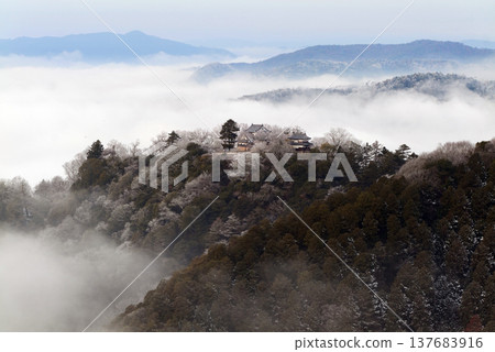 Winter sea of clouds and Bitchu Matsuyama Castle (castle in the sky) 25223 137683916
