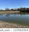 Odaka Green Area 137683954
