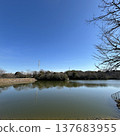 Odaka Green Area 137683955