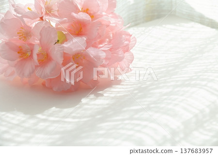 Cherry blossom background image 137683957