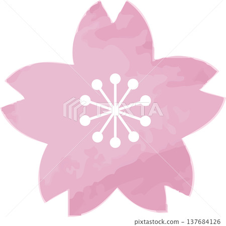 Watercolor illustration of cherry blossoms. Hand-drawn sakura, spring decoration, Japanese design, ornament, decoration, logo, icon, material. Watercolor illustration of cherry blossoms. Hand-drawn sakura, spring decoration, Japanese design, ornament, decoration, logo, icon, material. 137684126