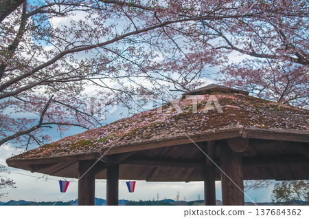 Springtime at Shiroyama Park in Motegi Town, Tochigi Prefecture Springtime at Shiroyama Park in Motegi Town, Tochigi Prefecture 137684362