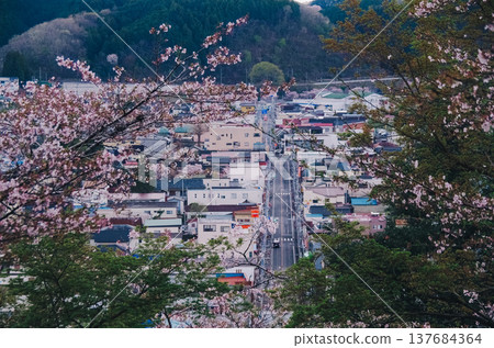 Springtime at Shiroyama Park in Motegi Town, Tochigi Prefecture Springtime at Shiroyama Park in Motegi Town, Tochigi Prefecture 137684364