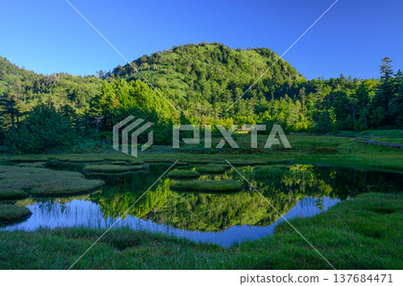 The back of Mount Shiga and the blue sky reflected in the ponds of the Shijuhachiike Marshland in Shiga Kogen. The back of Mount Shiga and the blue sky reflected in the ponds of the Shijuhachiike Marshland in Shiga Kogen. 137684471