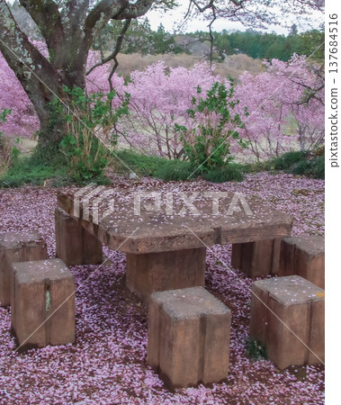Springtime at Shiroyama Park in Motegi Town, Tochigi Prefecture Springtime at Shiroyama Park in Motegi Town, Tochigi Prefecture 137684516