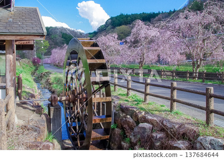 Tochigi Prefecture, Motegi Town, Jikkokugawa Park, around Michi-no-Eki Motegi (roadside station) 137684644