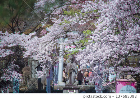 南光神社,白川市,福島縣 南光神社,白川市,福島縣 137685398
