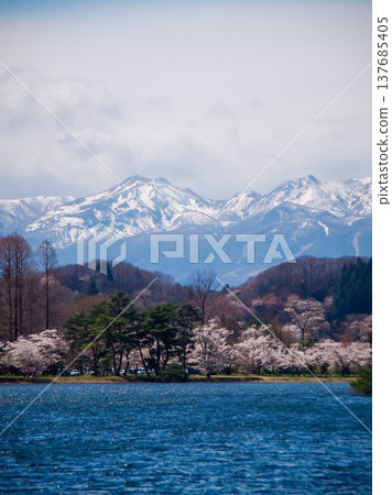 福島縣白河市南港公園的春天 137685405