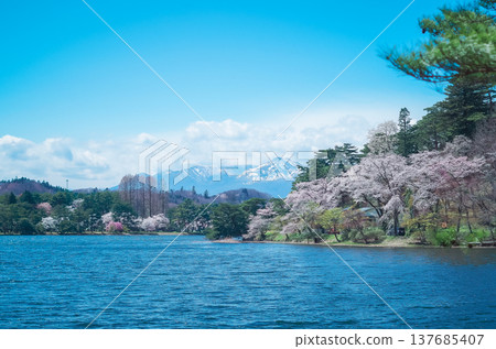 Spring at Nanko Park, Shirakawa City, Fukushima Prefecture Spring at Nanko Park, Shirakawa City, Fukushima Prefecture 137685407