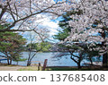Spring at Nanko Park, Shirakawa City, Fukushima Prefecture 137685408