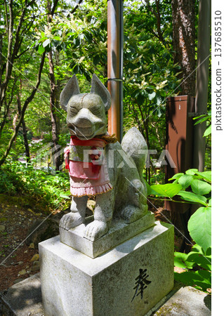 Kusatsu Anamori Inari Shrine, Komainu (guardian fox statues) (Nishinokawara Park, Kusatsu Town, Agatsuma District, Gunma Prefecture) 137685510