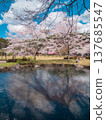 Spring at Nanko Park, Shirakawa City, Fukushima Prefecture 137685547