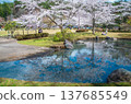 Spring at Nanko Park, Shirakawa City, Fukushima Prefecture 137685549