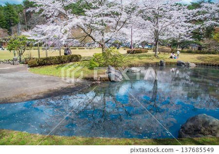 福島縣白河市南港公園的春天 福島縣白河市南港公園的春天 137685549