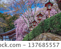 Nanko Shrine, Shirakawa City, Fukushima Prefecture 137685557