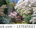 Nasu Town, Tochigi Prefecture: Donoshita no Iwa Kannon-do (Rock Kannon Hall) 137685683