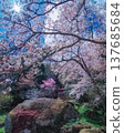 Nasu Town, Tochigi Prefecture: Donoshita no Iwa Kannon-do (Rock Kannon Hall) 137685684