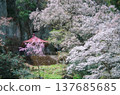 Nasu Town, Tochigi Prefecture: Donoshita no Iwa Kannon-do (Rock Kannon Hall) 137685685