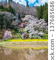 Nasu Town, Tochigi Prefecture: Donoshita no Iwa Kannon-do (Rock Kannon Hall) 137685686