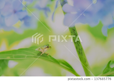 茨城縣花卉公園 茨城縣花卉公園 137685776