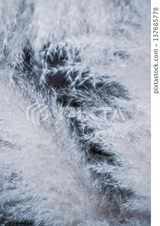 Ibaraki Flower Park 137685778