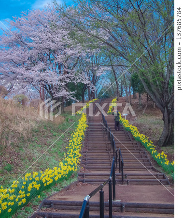 Higashi Nasuno Park in spring, Nasushiobara City, Tochigi Prefecture Higashi Nasuno Park in spring, Nasushiobara City, Tochigi Prefecture 137685784