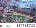 Higashi Nasuno Park in spring, Nasushiobara City, Tochigi Prefecture 137685785