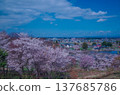 Higashi Nasuno Park in spring, Nasushiobara City, Tochigi Prefecture 137685786