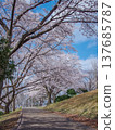 Higashi Nasuno Park in spring, Nasushiobara City, Tochigi Prefecture 137685787