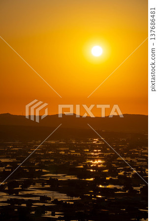 [A magnificent view in early summer] Sunset in the Tonami Plain and scattered villages in early summer and reflections in the rice fields [Toyama Prefecture] 137686481