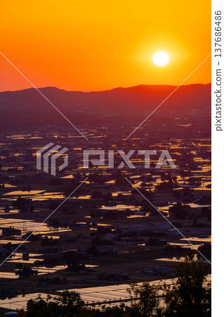 【初夏絕景】礪波平原的夕陽與初夏散落的村落以及稻田的倒影【富山縣】 【初夏絕景】礪波平原的夕陽與初夏散落的村落以及稻田的倒影【富山縣】 137686486