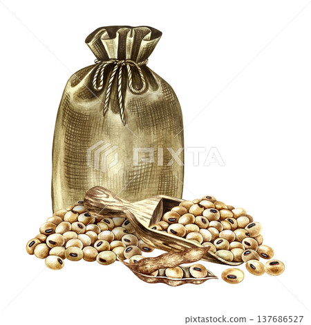 Soy. A filled burlap bag tied with a rope, a wooden spatula, and a soy pod. A handmade watercolor illustration. Perfect for creating product labels, posters, banners, menus, and more. 137686527