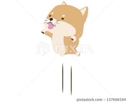 A Shiba Inu jumping with a smile 137686584