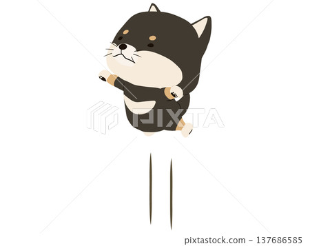 一隻黑色的柴犬跳 一隻黑色的柴犬跳 137686585