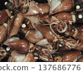 Close-up of fresh firefly squid 137686776