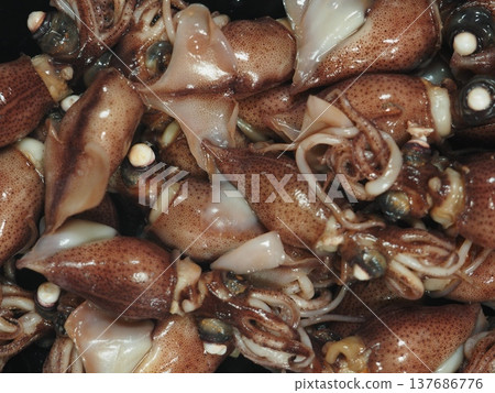 Close-up of fresh firefly squid Close-up of fresh firefly squid 137686776