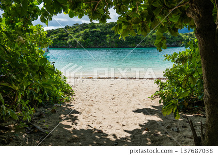 沖繩縣石垣島夏季的美麗風景 沖繩縣石垣島夏季的美麗風景 137687038