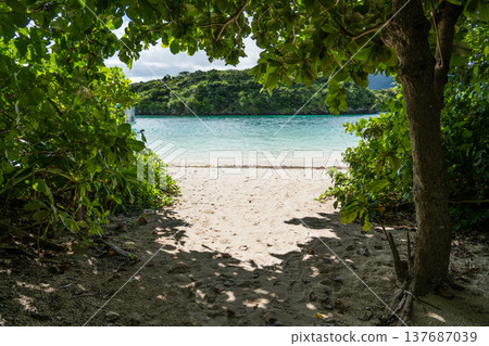 沖繩縣石垣島夏季的美麗風景 沖繩縣石垣島夏季的美麗風景 137687039